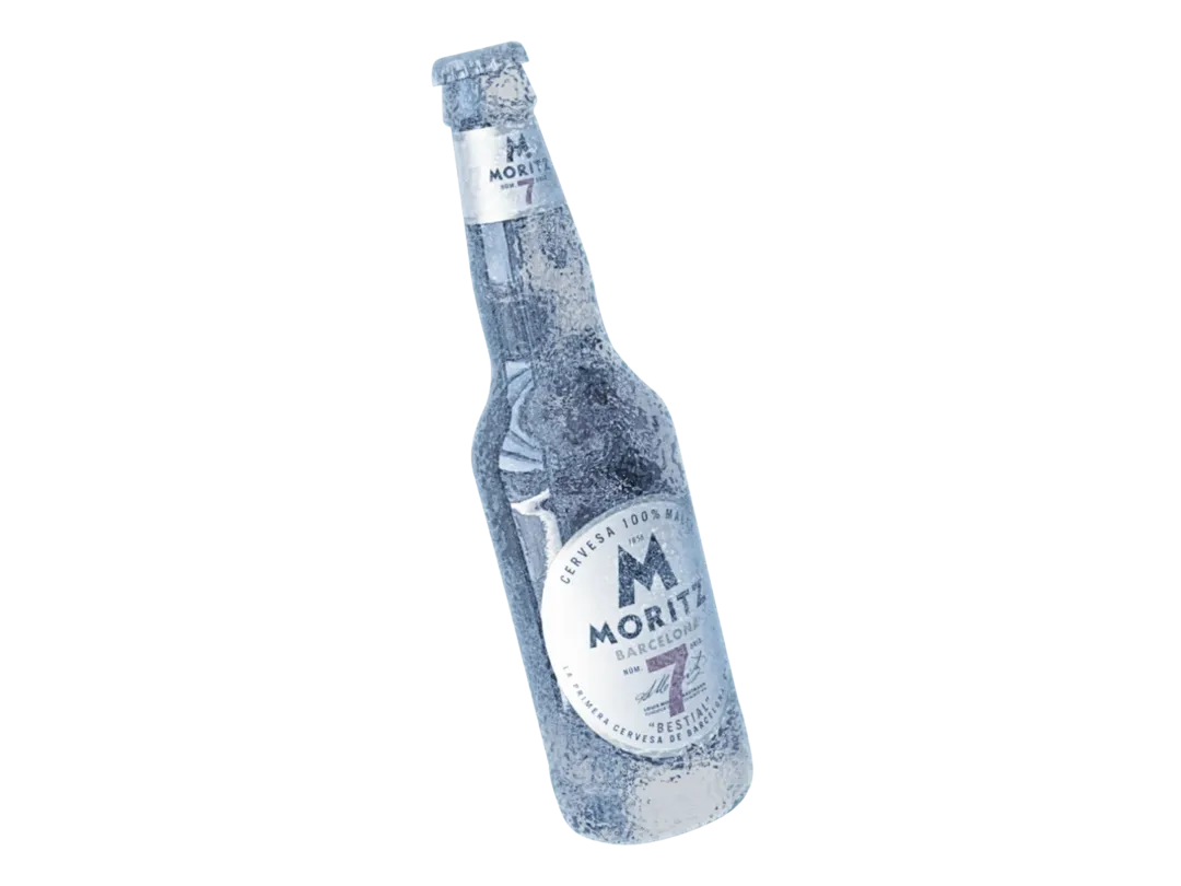 Graus Moritz — imagen 4 del proyecto